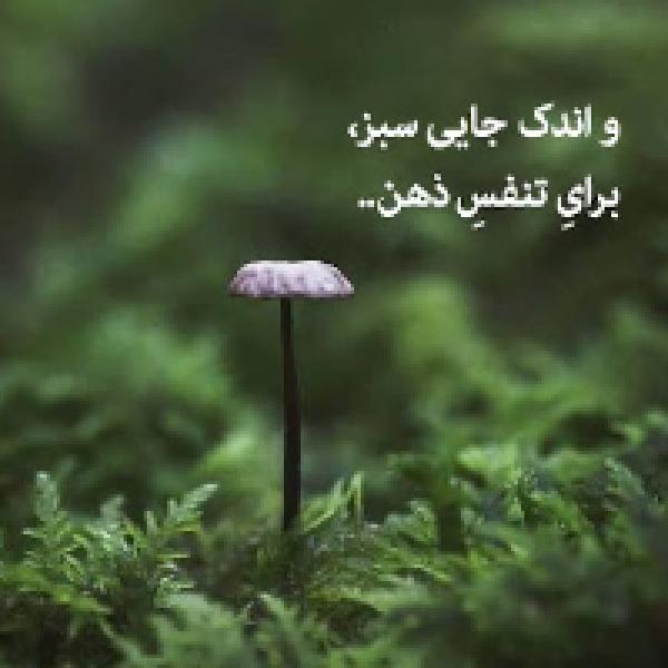 دلنوشته طبیعت دلنوشته طبیعت