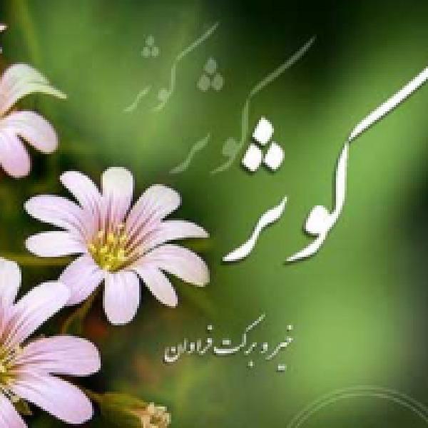 برگزاری مسابقه کتابخوانی بانوی نمونه در کرمانشاه برگزاری مسابقه کتابخوانی بانوی نمونه در کرمانشاه